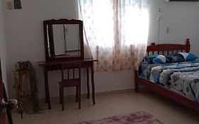 casa bambú